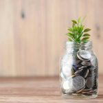 Reinvestment Plan Dividend Investing Can You Actually Build Wealth This Way?