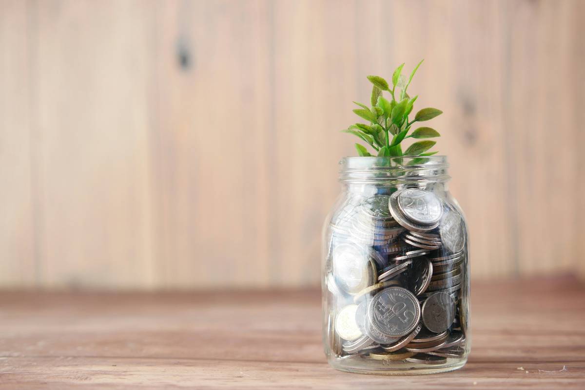 Reinvestment Plan Dividend Investing Can You Actually Build Wealth This Way?