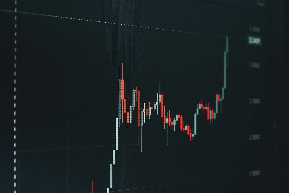 Reinvestment Plan Dividend Investing How To: Your No-BS Guide to Building Wealth on Autopilot