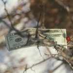 Yes, Reinvestment Plan Dividend Investing Are Passive—Here’s How to Actually Make It Work